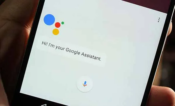 Enable Google Assistant