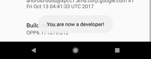 Enable Pixel Visual Core on Google Pixel 2 and Pixel 2 XL - Developer Options