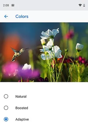 Google Pixel 3 XL - Display Color Modes in Settings