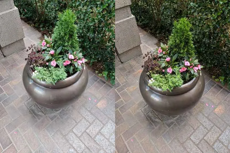 OnePlus 7 Pro Google Camera Port vs Stock Camera Comparison - 02