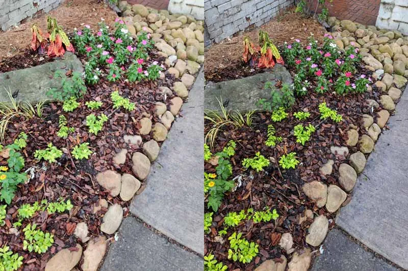 OnePlus 7 Pro Google Camera Port vs Stock Camera Comparison - 03