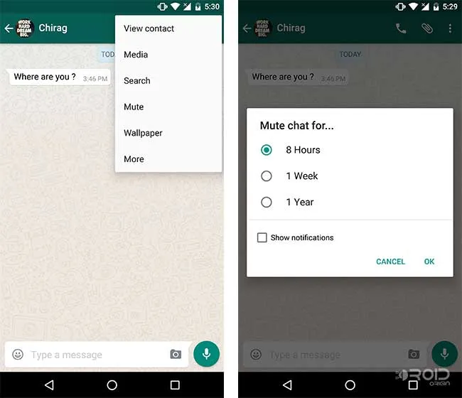 WhatsApp Tips and Tricks Mute Notifications