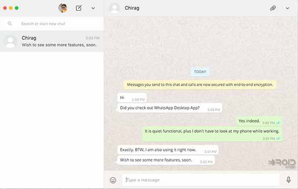 Скриншот чата клиента настольного приложения WhatsApp