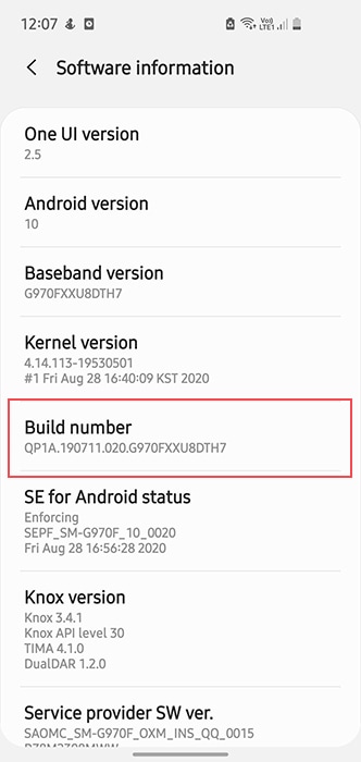 Software Build Number on Samsung Galaxy S10